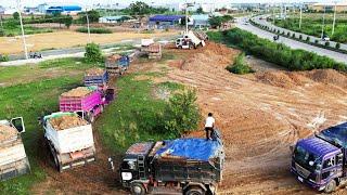 New Update With Small Heavy Equipment Working Land Fill in Canal & Clearing Mud