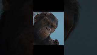 Final Trailer Kingdom of the Planet of the Apes  #shorts