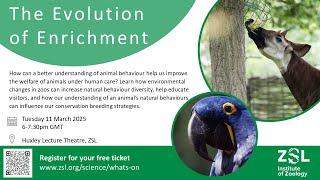 The Evolution of Enrichment