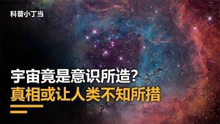 早期宇宙长得像人脑，宇宙很可能是有意识的，突破时空寻找真相