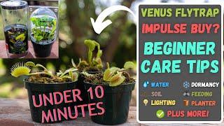 Total Venus Flytrap Care Under 10 Minutes - Wal-Mart ,Lowes Beginner Fly Trap Tips (Updated 2024)