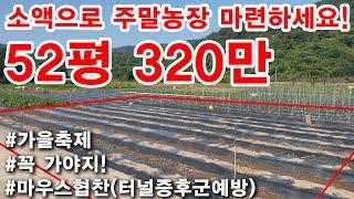 주말농장용 작고 싼땅이에요~ 53평에 320만원~ 소액으로 내땅갖으실분 추천합니다(공매 물건 임장)