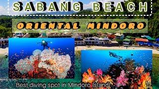 SABANG BEACH UNDERWATER WORLD | ORIENTAL MINDORO, PHILIPPINES