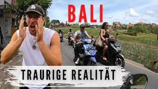 BALI - WAS INSTAGRAM DIR NICHT ZEIGT! DIE TRAURIGE REALITÄT