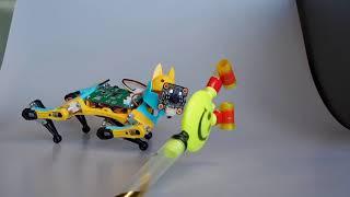 Bittle | The Programmable Robot Dog Tracks a Ball | PetoiCamp