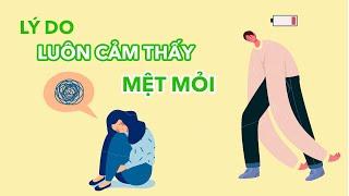7 lý do khiến bạn luôn Mệt Mỏi