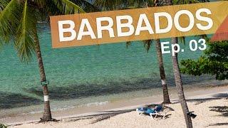 Bridgetown - Barbados :: Ep.03 :: 3 praias interessantes em Barbados :: 3em3