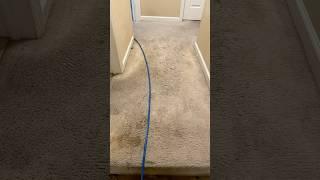 Carpet cleaning in Columbus, GA #jetstreamclean #jetstreamclean #jetstreamclean