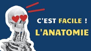 Apprendre et retenir l'anatomie à long terme !? 