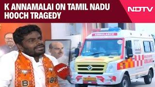 Tamil Nadu Hooch Tragedy | Tamil Nadu's Growing Alcohol Revenue Creating Addiction: K Annamalai