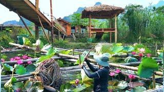 Journey to buy lotus and water lily to plant in the pond. Prepare the land for the new crop