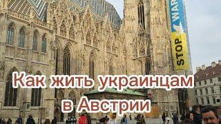 Вена. Как жить украинцам-беженцам в Австрии?