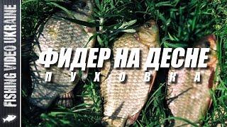 EXCELLENT FEEDER FISHING ON THE GUM IN PUKHOVKA | FishingVideoUkraine