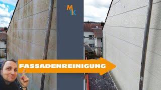 Fassadenreinigung mit Anleitung!