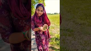 minivlog#417‍️இதை திருட்டு என்று நினைக்க வேண்டாம் #shorts #shortsfeed #trending #viral