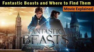 Fantastic Beasts and Where to Find them | Full Movie | Explained in Hindi