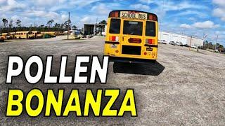 Bus Vlog - I Need a Sundial