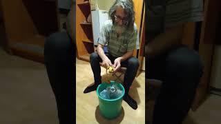 Отец чистит картошку одним разом