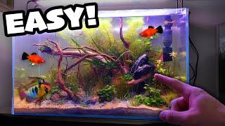 Setting Up *NEW* Aquarium for my Colourful Pet Fish!