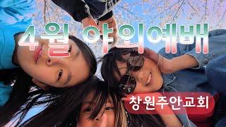 2025 4월 야외예배(feat. 벚꽃) |창원주안교회|