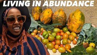 OUR FARM JOURNEY SO FAR | LIVING IN HARGEISA SOMALILAND 2025