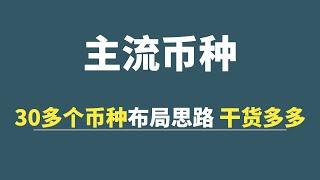 主流币种：30多个币种布局思路，干货多多！