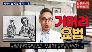 [거머리요법] 거머리요법은 버거씨병, 관절염, 혈관염, 종기, 피부염, 탈모, 이명, 치질 등등 다양한 질환을 치료합니다.