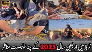 Arbaeen walk 2023/1445H l Najaf To Karbala View l Safar e Ishq E Hussain Ibn e Ali