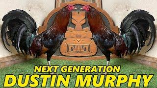 Pure Pennys Sweater Dustin Murphy Next Generation Farm