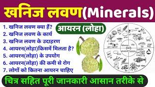 खनिज लवण (Minerals) | what is minerals | khanij lavan ke karya, strot, rog, upyog | iron (आयरन)