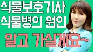 식물보호기사 필기 시험의 첫 페이지! 식물병의 원인의 개념!