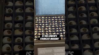 Is this London’s most weird and wonderful museum? 