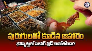 పురుగులతో కూడిన ఆహారం భవిష్యత్తులో సూపర్ ఫుడ్ కాబోతోందా? #insects #foodshorts #insectfarming