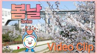 l#국민권익위원회 #봄날 #날씨 #꽃 #Video l