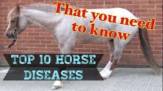 10 Most Common Horse Diseases ~ That you NEED to know!