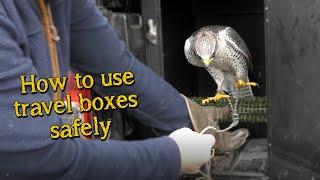 Falconry Basics | Travel Boxes & How to use them safely