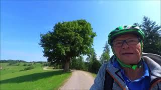 Mein Film vom (vogelwuiden) Biken zur Gindelalm.