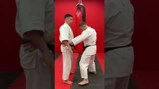 Дистанция в ударе Хайто-учи #kenbukan #тыльнаясторона #haitouchi #karate #gojuryu #каратэ