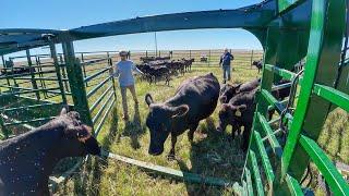 On the Ranges of South Dakota