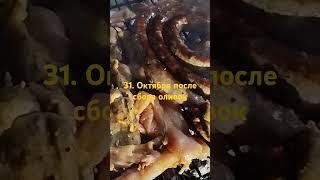 Днём собираем оливки, а вечером....️ Жизнь на острове! ️