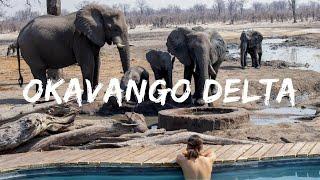 THIS is the Okavango Delta, Botswana | Travel video