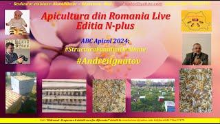 #abcapicol2024 Ep10 #andreiignatov  #Macta cu #spermateca stratificata #apisines  #ionelnistor