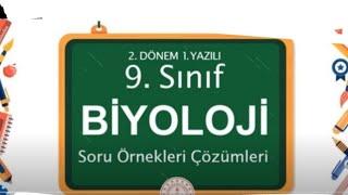 9BİYOLOJİ 2.DÖNEM 1.YAZILI HAZIRLIK 100 al çalış