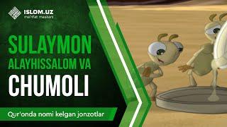 18. Sulaymon alayhissalom va chumoli (1-qism) | Qur'onda nomi kelgan jonzotlar