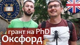 Псифак Оксфорд. Как поступить в Оксфорд на PhD и получить грант. Психологический факультет Оксфорд