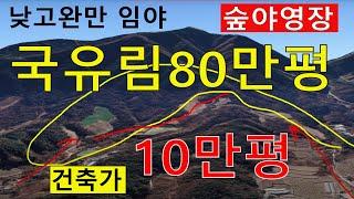 강원도임야 10만평(국유림80만평접) 건축개발100%가능낮고완만 자연인 전원생활 숲야영장6차산업 숲가치7125억 탄소권1억3337만원 땅과함께(새희망을)경매임야 공매임야 나도땅주인