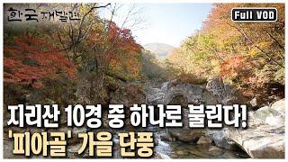 높이 1507m, 지리산 3대 봉우리 중 하나인 지리산 '노고단'! 사계절 모두 절경으로 매년 인산인해를 이룬다 (KBS 20131110 방송)