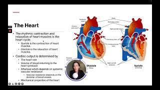 ATI TEAS 7 Science Course | Cardiovascular System