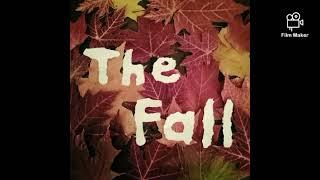 The Fall (take 2)