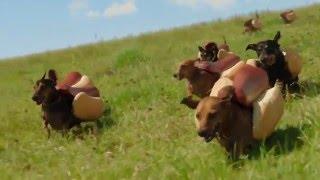 HEINZ Ketchup  2016  Hot Dog Commercial  the  'Wiener Stampede'